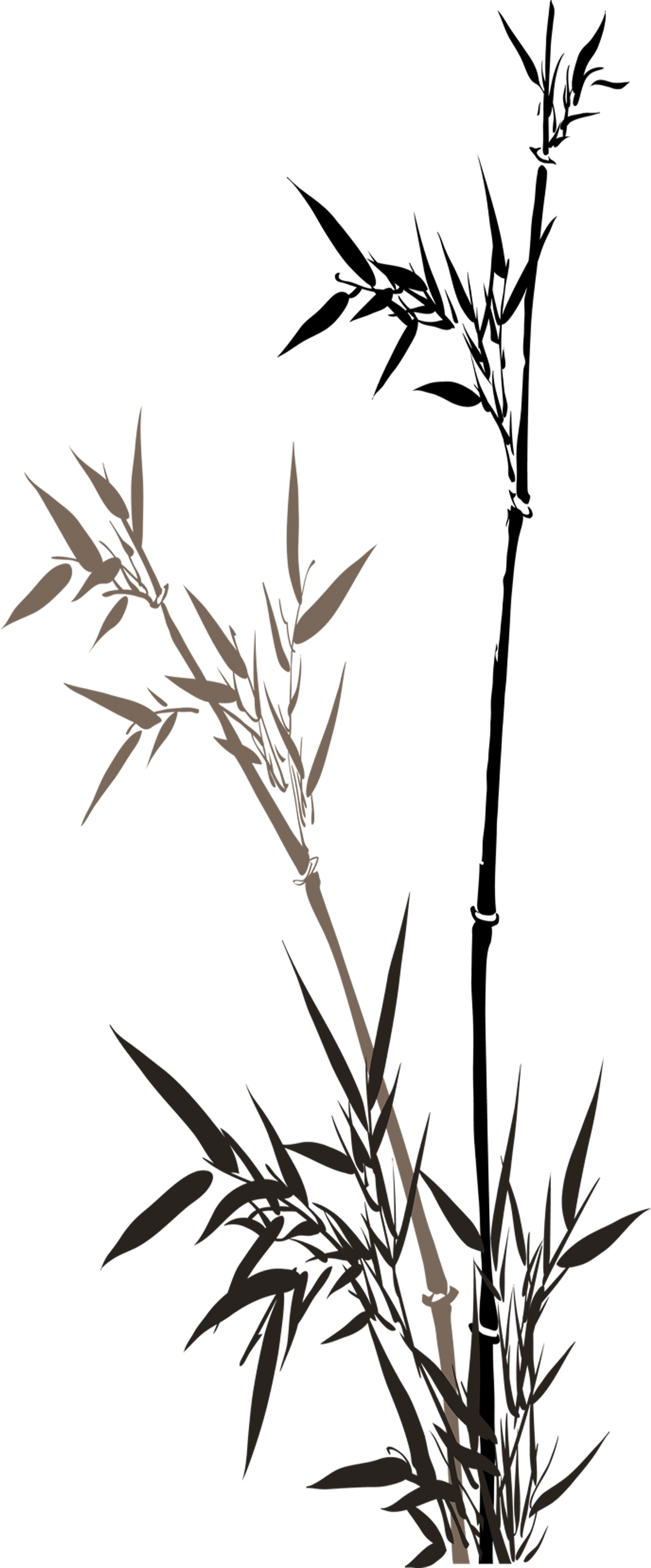 bamboo decoration